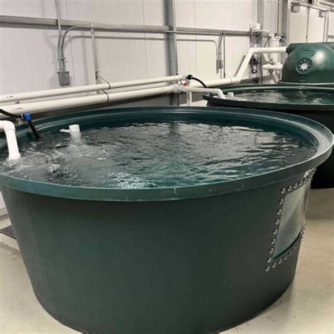 AquaBundance Modular 500 Gallon Fish Tank .